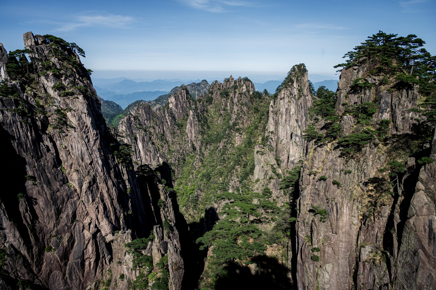 Pine-covered granite peaks rising beneath a blue sky in Huangshan