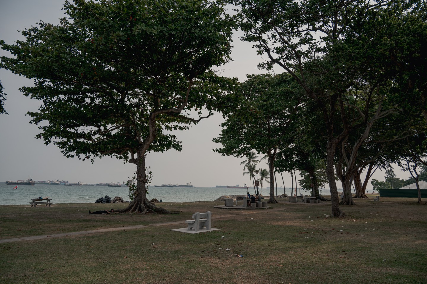 Trees and a bench overlooking the sea on the East Coast