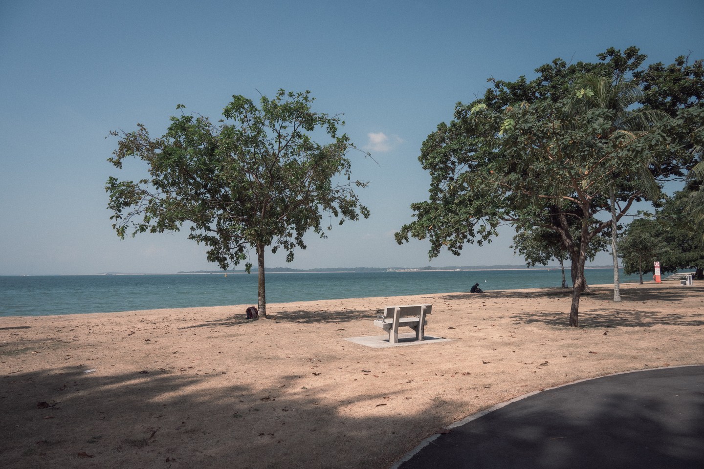 A quiet sandy beach and trees beside a blue sea