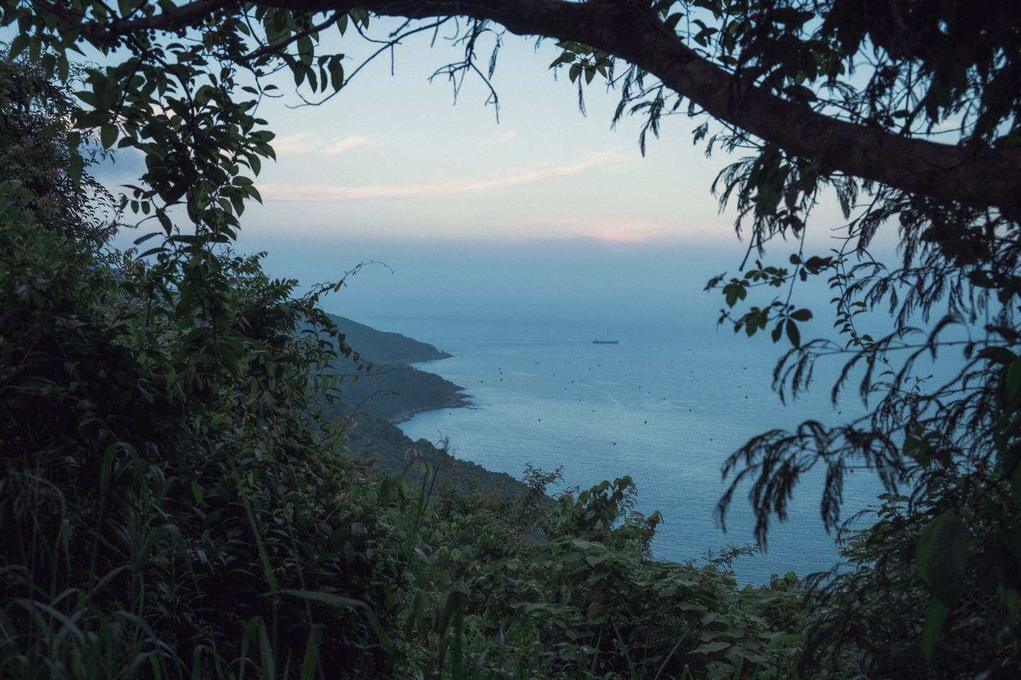 Deep blue sea framed by trees on a hillside